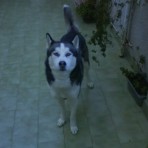 Keyko