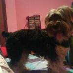 Rony