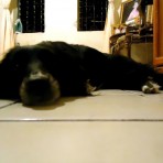 Cosita