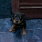 Kina