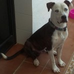 Titán