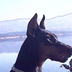 Gina