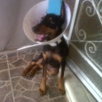 Lola