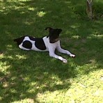 Peggy