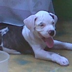 Cain