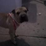 Susy