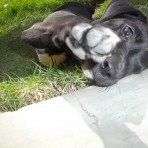 Zoe