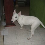 Jack