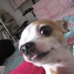 Doby