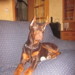 Kaiser