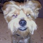 Yacky