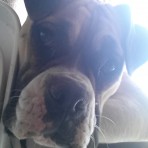 Kimi 