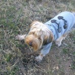 Reginald