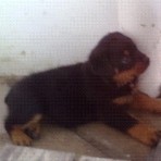 NACHA