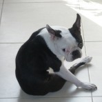 Rocksy