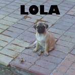 Lola