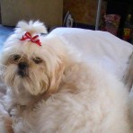 Prince