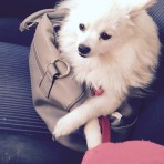 Princesa
