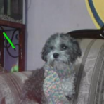Richi