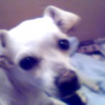 Pixie