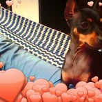 Nena