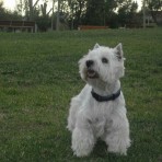 Layka