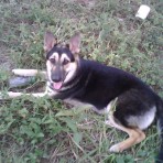 Blacky