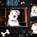 Blu