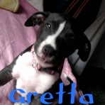 Gretta