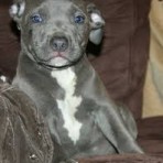 Keisy