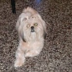 Mocca