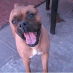 Pancho