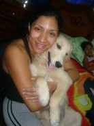 Fotos de perros