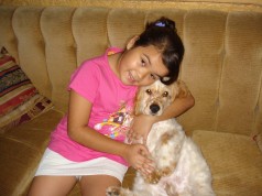 Fotos de perros