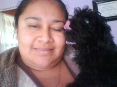 Fotos de perros