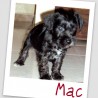Mac