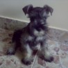 Martina...