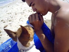 Fotos de perros