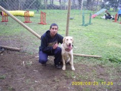 Fotos de perros