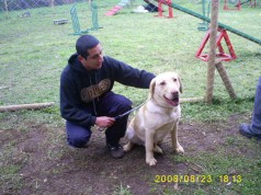 Fotos de perros