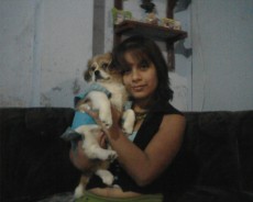 Fotos de perros