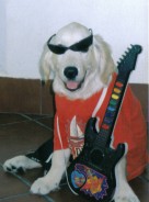 Fotos de perros