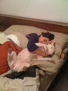 Fotos de perros