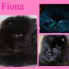 Fiona