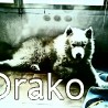 drako