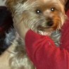 neska