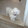 chencho