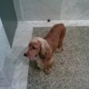 CURRO