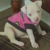 Roxy
