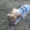 Reginald